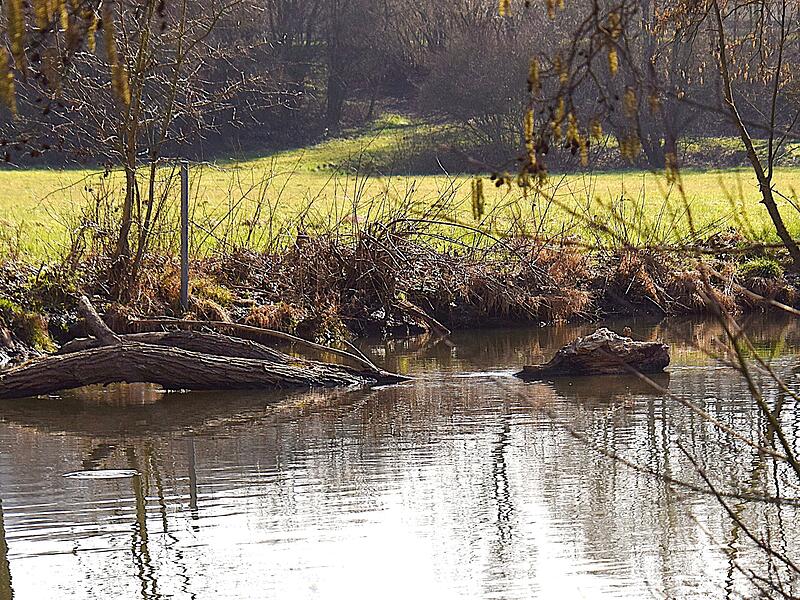 &bdquo;Mit etwas Fantasie k&ouml;nnte man meinen, es sei Nessie in der Saale&ldquo;, findet Petra Hartmann.