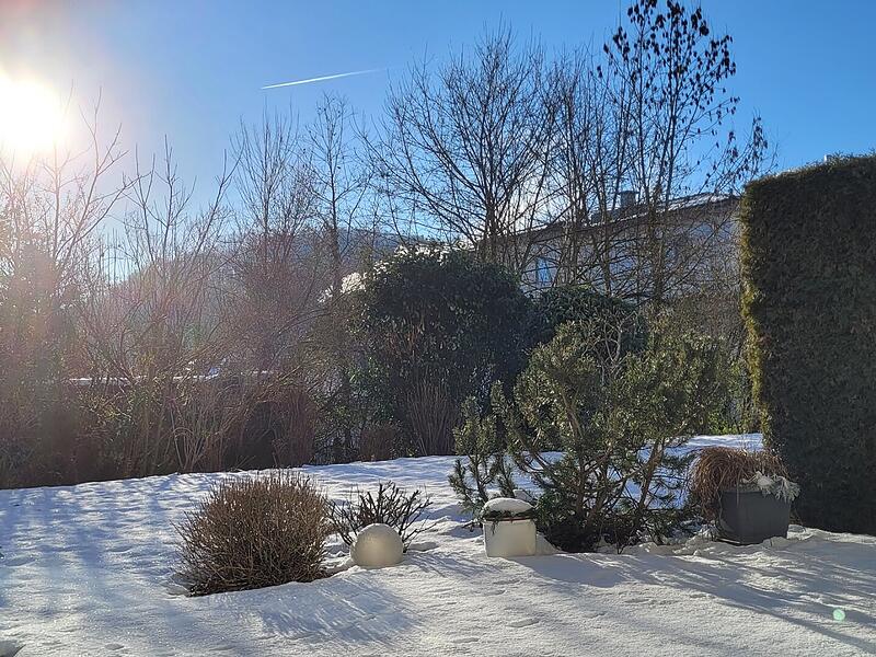 Sonntagmorgen im Rosenviertel