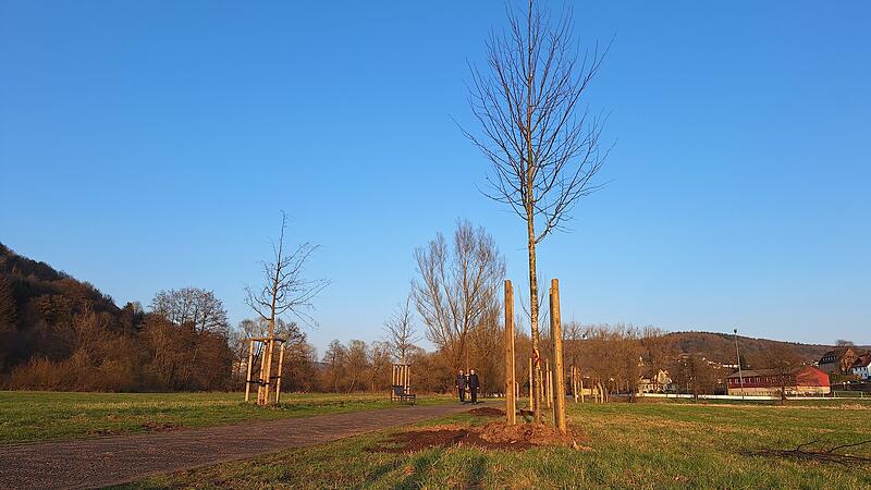 Baumpflanzung am Kirkham-Weg Bad Brückenau: Patenschaften Baumpflanzung am Kirkham-Weg Bad Brückenau: Patenschaften