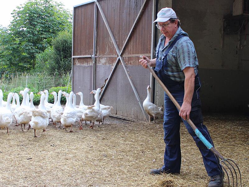 Gerald Heinle mit seinen Gänsen vom Geflügelhof Schlohmühle in Geroda. Die Direktvermarktung betreibt er seit Anfang der 1990er Jahre.