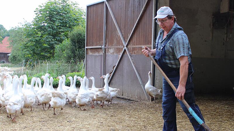 Gerald Heinle mit seinen G&auml;nsen vom Gefl&uuml;gelhof Schlohm&uuml;hle in Geroda. Die Direktvermarktung betreibt er seit Anfang der 1990er Jahre.