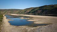 Niedrigwasser am Rhein