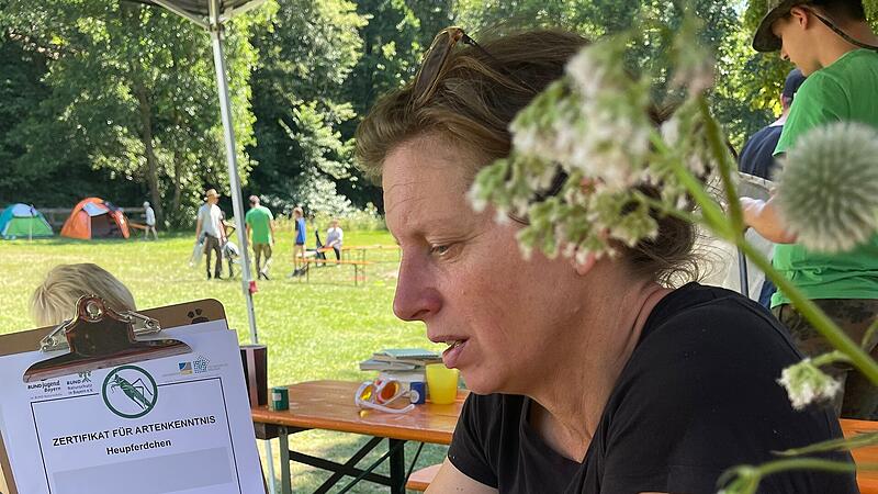 Abenteuer in der Wildnis