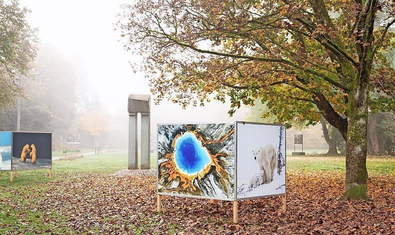 Fotopark 2024 im Nebel.