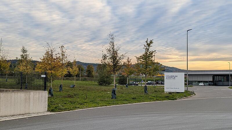Gewerbegebiet Rudolf-Diesel-Stra&szlig;e in Lichtenfels: Der Bereich zwischen der Werkseinfahrt und Riesner Gase ist als Gr&uuml;nfl&auml;che angelegt. Dort soll eine Gewerbefl&auml;che ausgewiesen werden.