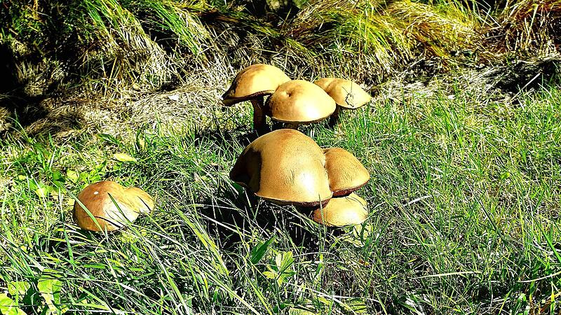 Leserfotos September 2025Leserfotos September 2025