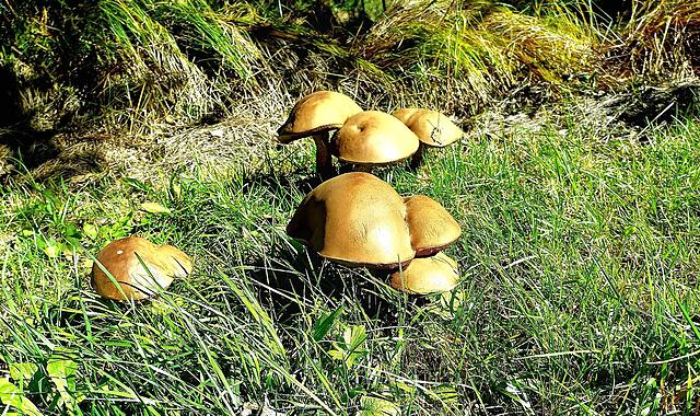 Leserfotos September 2025Leserfotos September 2025 Leserfotos September 2025Leserfotos September 2025