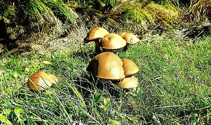 Leserfotos September 2025Leserfotos September 2025 Leserfotos September 2025Leserfotos September 2025