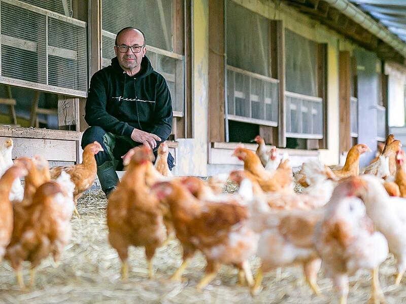 Peter Schubert blickt noch relativ entspannt auf seine Tiere. Doch auch der Igensdorfer Bio-Landwirt merkt schon jetzt erste Auswirkungen der Vogelgrippe.