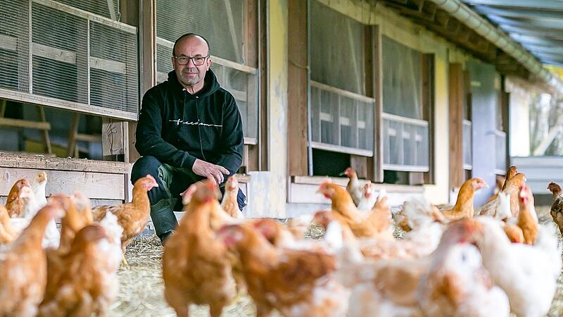 Peter Schubert blickt noch relativ entspannt auf seine Tiere. Doch auch der Igensdorfer Bio-Landwirt merkt schon jetzt erste Auswirkungen der Vogelgrippe.