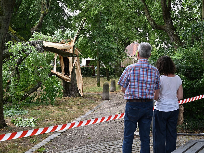 Sturmschäden LaurenziplatzSturmschäden am Laurenziplatz u.a.
