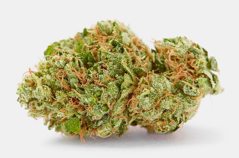 Der Konsum von Cannabis soll legalisiert werden. Dazu hat die Bundesregierung kürzlich ein Eckpunkte-Papier veröffentlicht – was Experten in Bamberg kritisch betrachten.