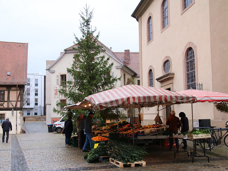 Der Weihnachtsbaum auf dem Rathausplatz in Bad Kissingen