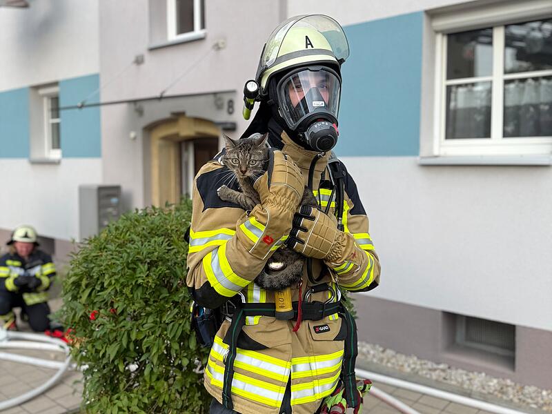 Die Freiwillige Feuerwehr Forchheim konnte die vermisste Katze retten.