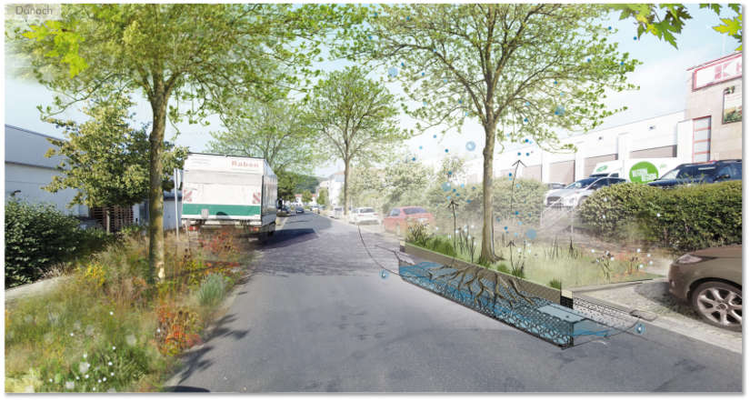 Baumumfeldverbesserung und Neupflanzung Straßenbäume Baumumfeldverbesserung und Neupflanzung Straßenbäume