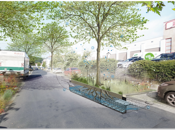 Mit dieser Methode sollen Straßenbäume besser mit Wasser versorgt werden. Baumumfeldverbesserung und Neupflanzung Straßenbäume