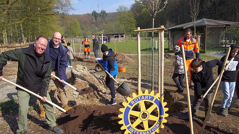 Gerhard Schneider (links) und Oberb&uuml;rgermeister Dirk Vogel pflanzen B&auml;ume f&uuml;r eine Streuobstwiese.
