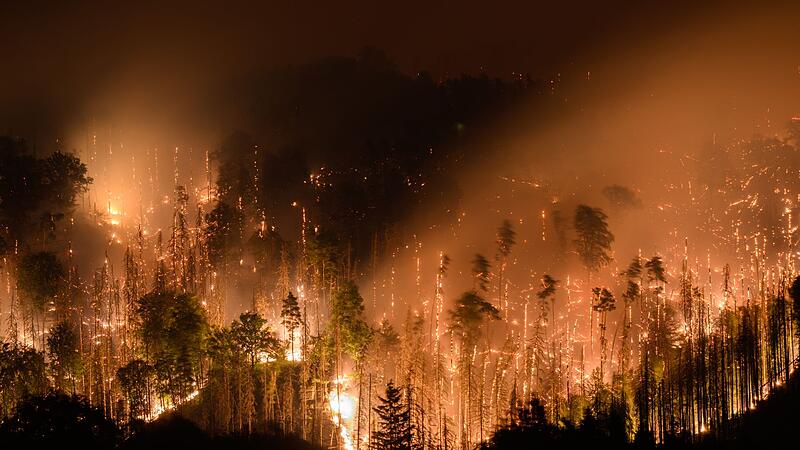 Feuer im Nationalpark Böhmische Schweiz