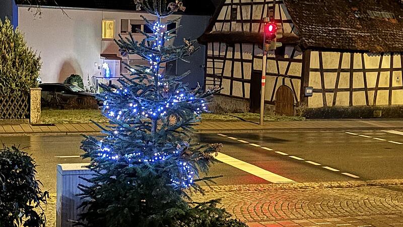 Unbekannte stellen Weihnachtsb&auml;ume in Forchheim auf.