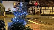 Unbekannte stellen Weihnachtsbäume in Forchheim auf.