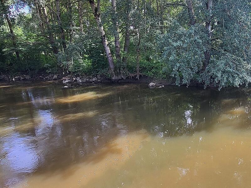 Um welches Gew&auml;sser k&ouml;nnte es sich hier handeln und wo wurde das Bild gemacht?