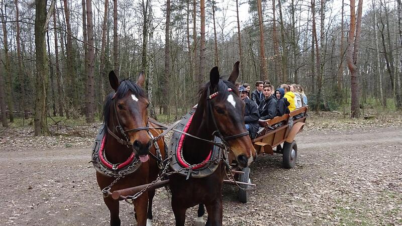 Die Kutschfahrt ist ein Highlight im Programm jedes Polen-Besuchs von Eberner Sch&uuml;lergruppen.