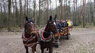 Die Kutschfahrt ist ein Highlight im Programm jedes Polen-Besuchs von Eberner Schülergruppen.