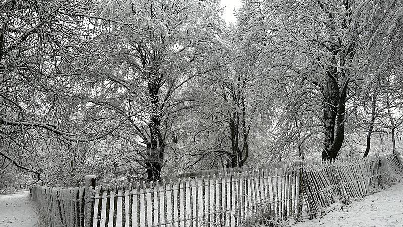 Der erste Schnee der Wintersaison 2023/2024: Besonders idyllisch ist es dieser Tage im Hofgarten in Coburg.