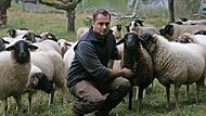 Dominik Lieb mit der Schafherde, die Anfang Oktober von zwei W&ouml;lfen attackiert wurde &ndash; trotz eines beh&ouml;rdlich anerkannten Schutzzaunes.