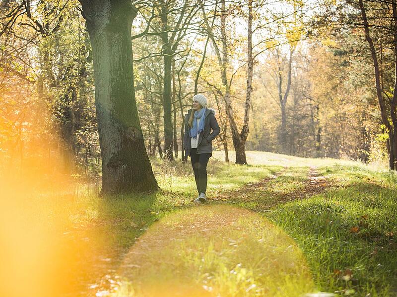 Raus ans Tageslicht, raus in die Natur: Bewegung an der frischen Luft kann Depressionen vorbeugen.