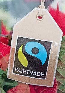 Ein Fairtrade-Zeichen ist an der Verpackung einer Topfblume zu sehen.