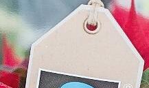 Ein Fairtrade-Zeichen ist an der Verpackung einer Topfblume zu sehen. Ein Fairtrade-Zeichen ist an der Verpackung einer Topfblume zu sehen.