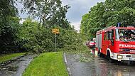 Fast 80 Einsätze für Feuerwehr bei Gewitter in Neustadt