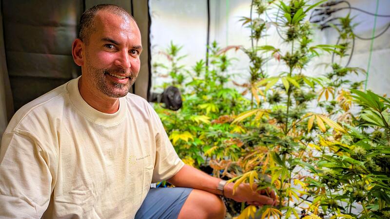 Rund 70 Zentieter hoch sind mache Pflanzen von der Anbauvereinigung „franken.cannabis e. V.“. „Viele hätten nicht gedacht, dass wir so weit kommen, ernten und ausgeben dürfen“, sagt Vorsitzender Dr. Martin Pley.