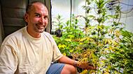 Rund 70 Zentieter hoch sind mache Pflanzen von der Anbauvereinigung „franken.cannabis e. V.“. „Viele hätten nicht gedacht, dass wir so weit kommen, ernten und ausgeben dürfen“, sagt Vorsitzender Dr. Martin Pley.