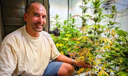 Rund 70 Zentieter hoch sind mache Pflanzen von der Anbauvereinigung &bdquo;franken.cannabis e. V.&ldquo;. &bdquo;Viele h&auml;tten nicht gedacht, dass wir so weit kommen, ernten und ausgeben d&uuml;rfen&ldquo;, sagt Vorsitzender Dr. Martin Pley.