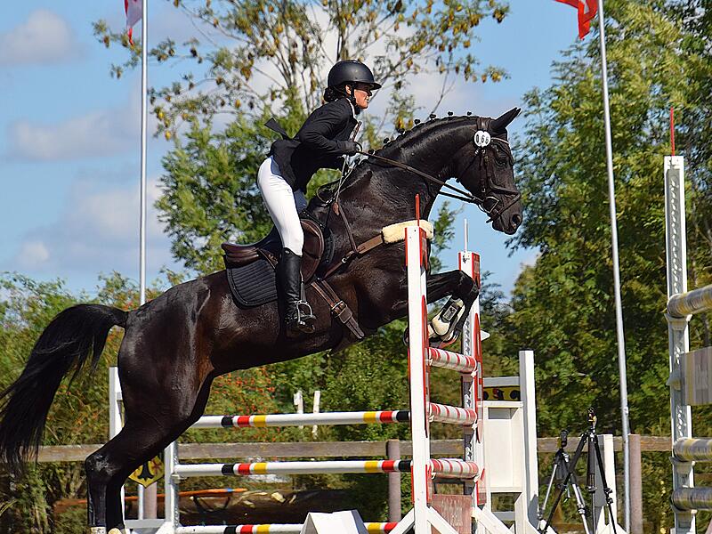 Kristina Ehrlich landete mit Fortuna Royal in Hambach auf Platz 13.