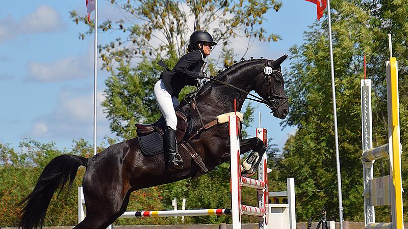 Kristina Ehrlich landete mit Fortuna Royal in Hambach auf Platz 13. Kristina Ehrlich landete mit Fortuna Royal in Hambach auf Platz 13.