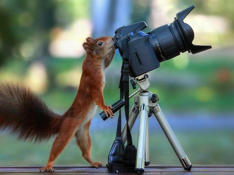 Wenn das Model zum Fotograf wird...
