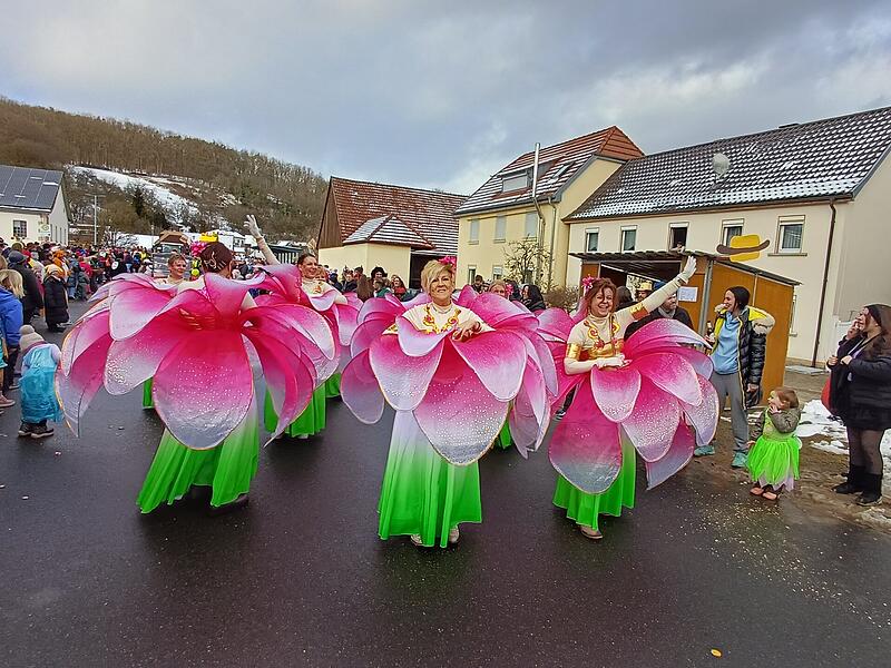 Rosenmontagszug in Aura