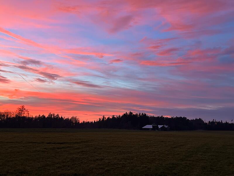 Leserfotos Dezember 2025Leserfotos Dezember 2025