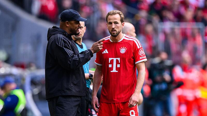 Harry Kane (r) und Vincent Kompany