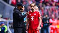 Harry Kane (r) und Vincent Kompany