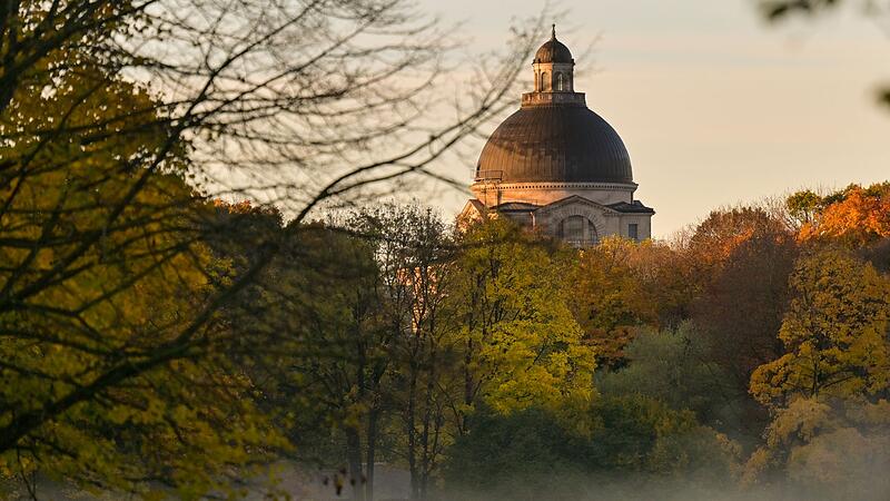 Englischer Garten im Morgenlicht