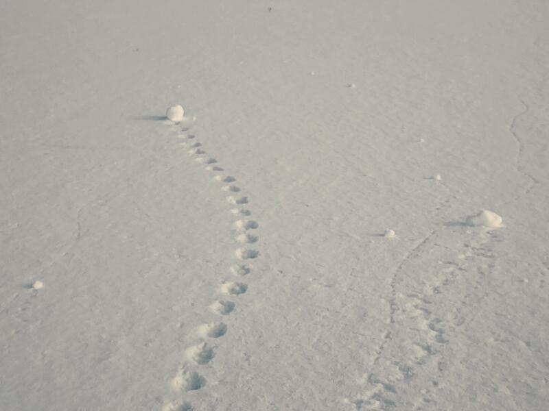 Leserfotos Erlangen-H&ouml;chstadt