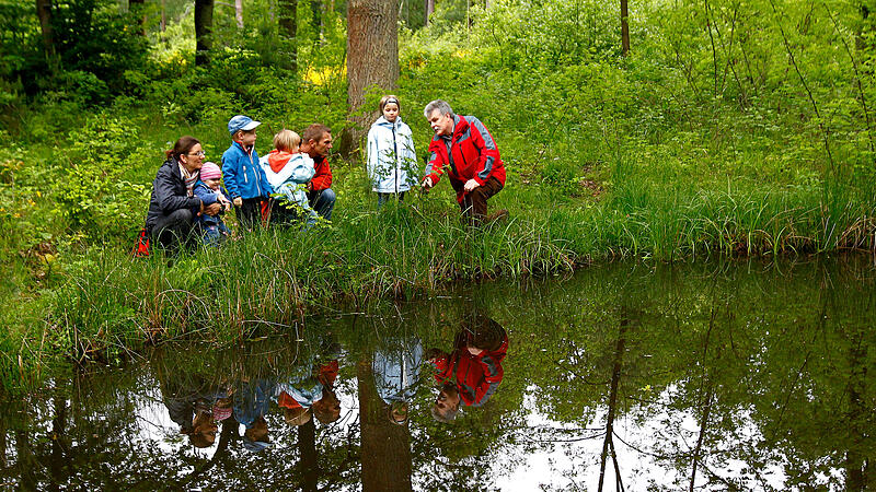 Biotop Wasserschutzgebiet Stadtwald