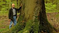 Er hat die Bäume immer wichtiger genommen als sich selbst: Georg Sperber auf Du und Du mit einer uralten Buche im Steigerwald.