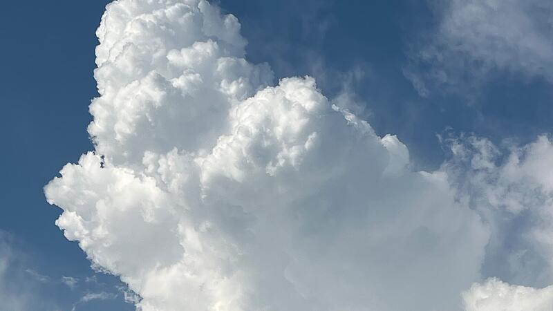 Der Sommer im Landkreis Forchheim wird hei&szlig; und abwechslungsreich.