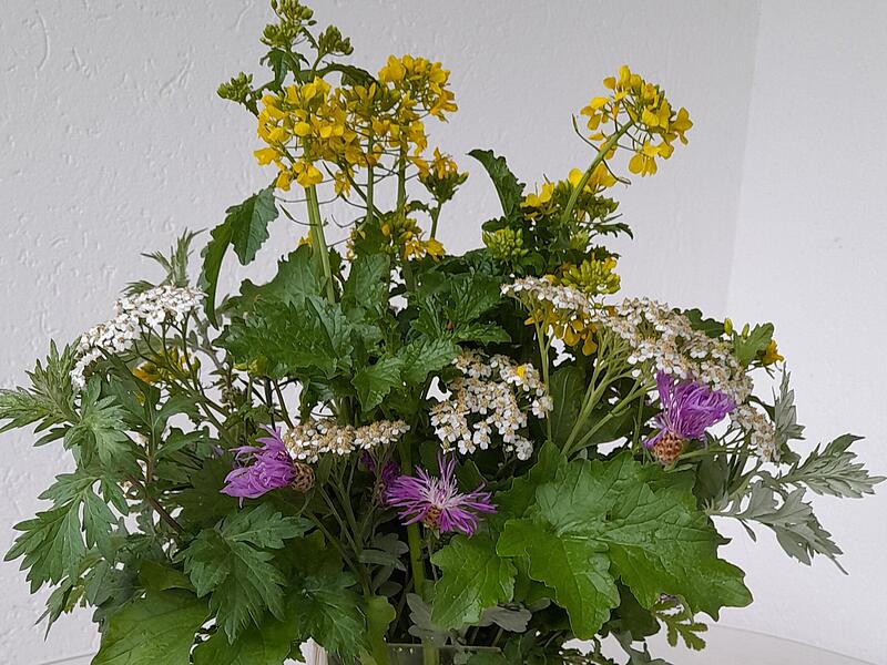Auch wenn viele Wiesen l&auml;ngst gem&auml;ht sind, so findet man hier in der Rh&ouml;n Ende September am Wegesrand noch viele bl&uuml;hende Pflanzen, die sich gut in der Vase halten: Schafgarbe, pinke Flockenblume und hellgelber Raps.