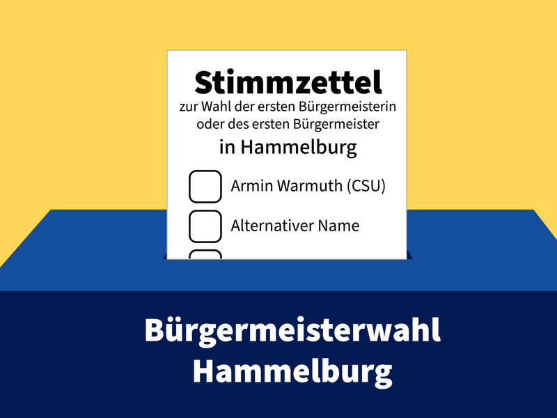 Bei der Wahl des B&uuml;rgermeisters wurden in Hammelburg 223 alternative Namen aufgelistet.